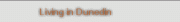 Living in Dunedin